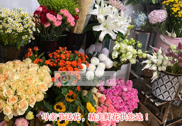 2024承德县下板城母亲节送花,承德县下板城精美鲜花供您选!